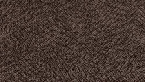 Galaktika Brown