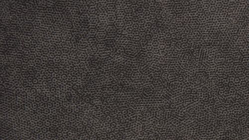 Galaktika Grey
